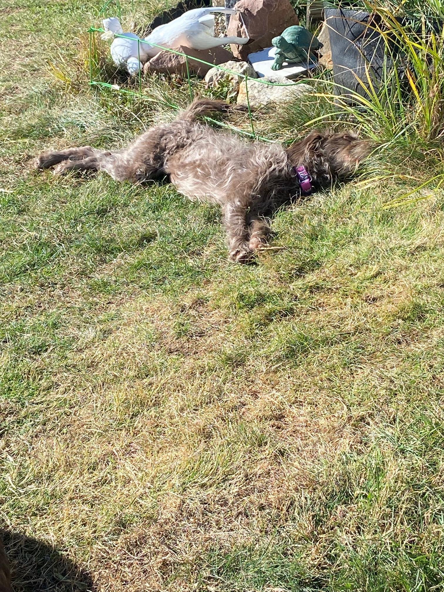 Charlotte thumbnail 4