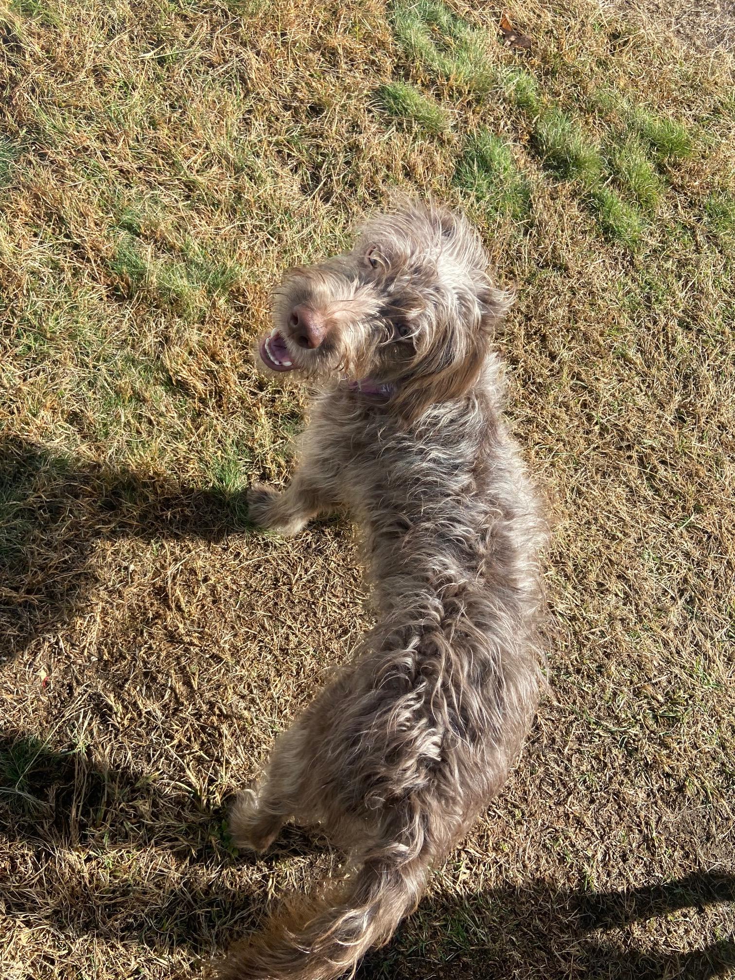 Charlotte thumbnail 2