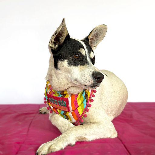 KIKA