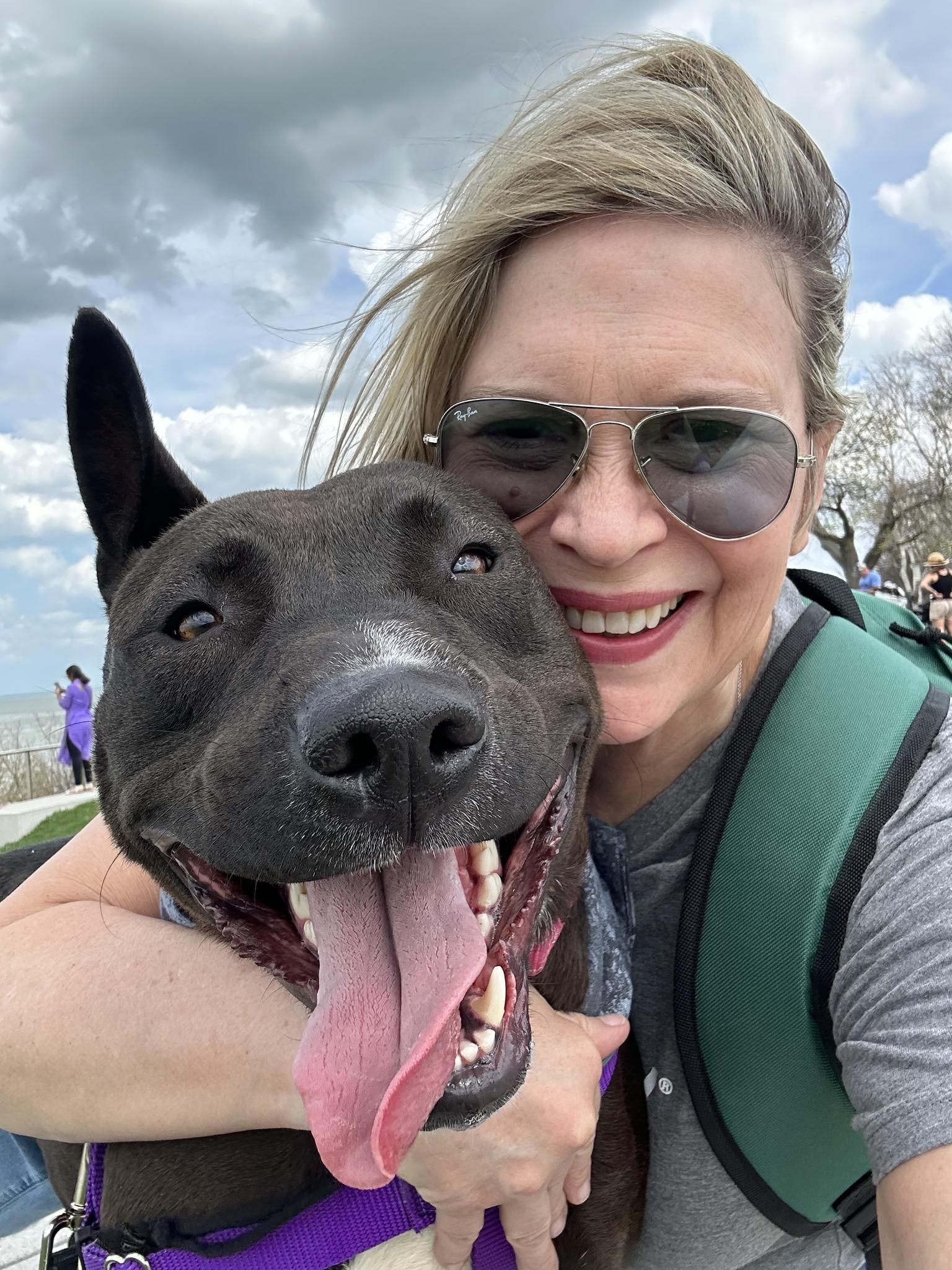 Enlarge Shasta, a ADOPTABLE mixed breed in Cleveland, OH image 6/6