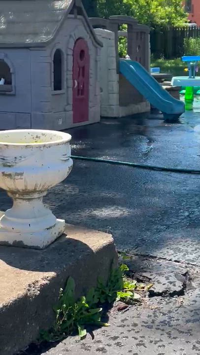 Enlarge Blue, a Adoptable English Bulldog in Libertyville, IL video 3/5