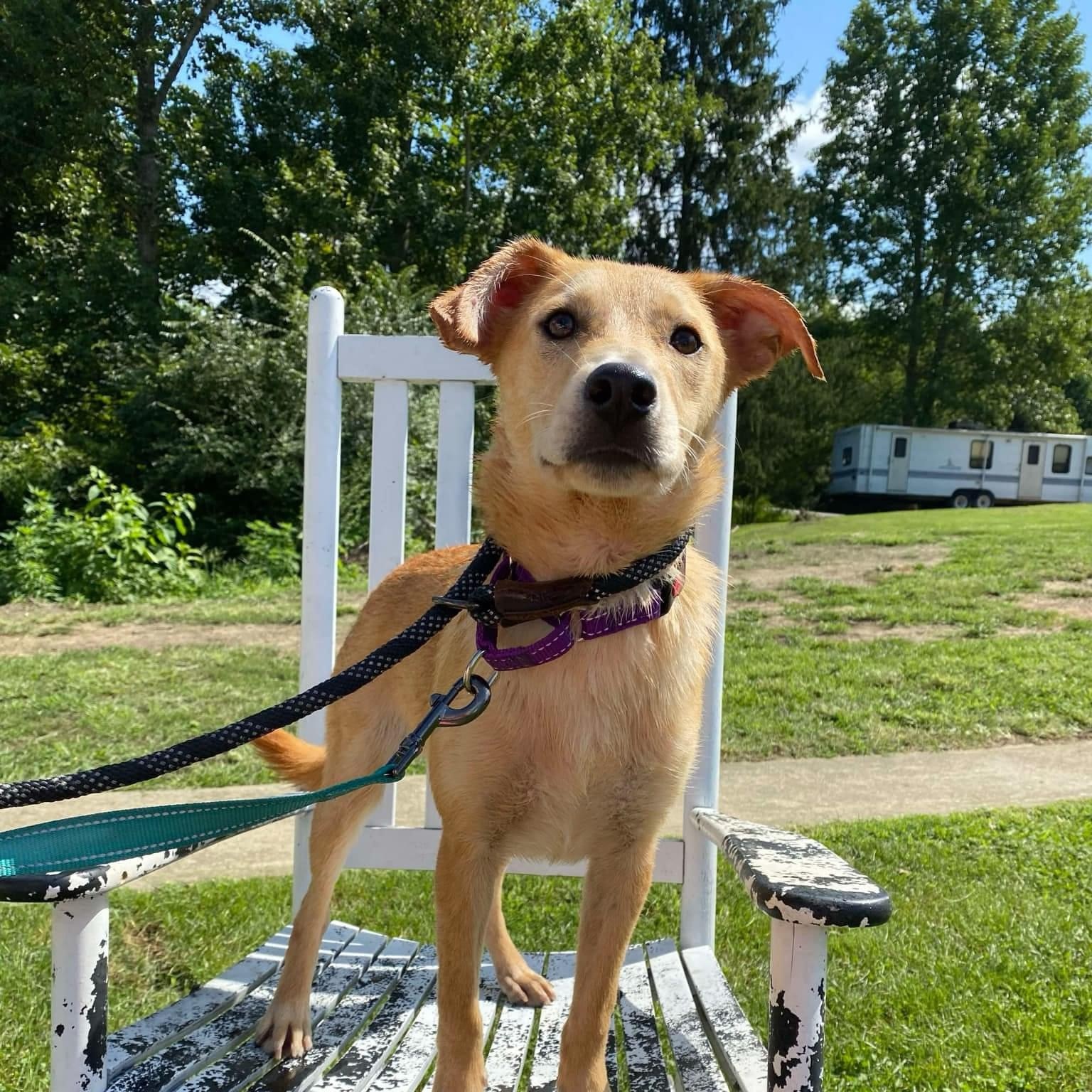 Charlie photo 2