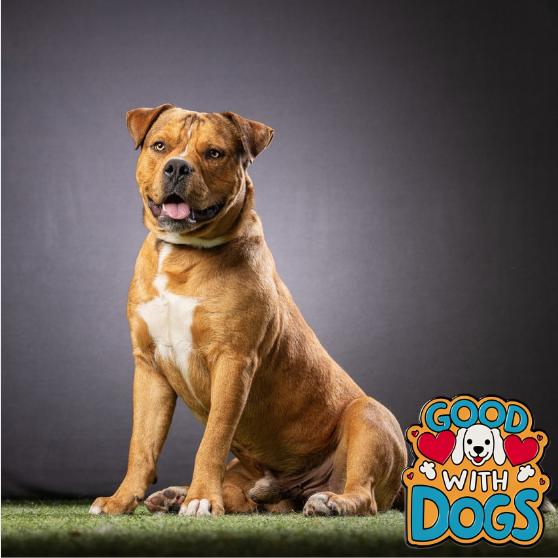 Warren — thumbnail 2