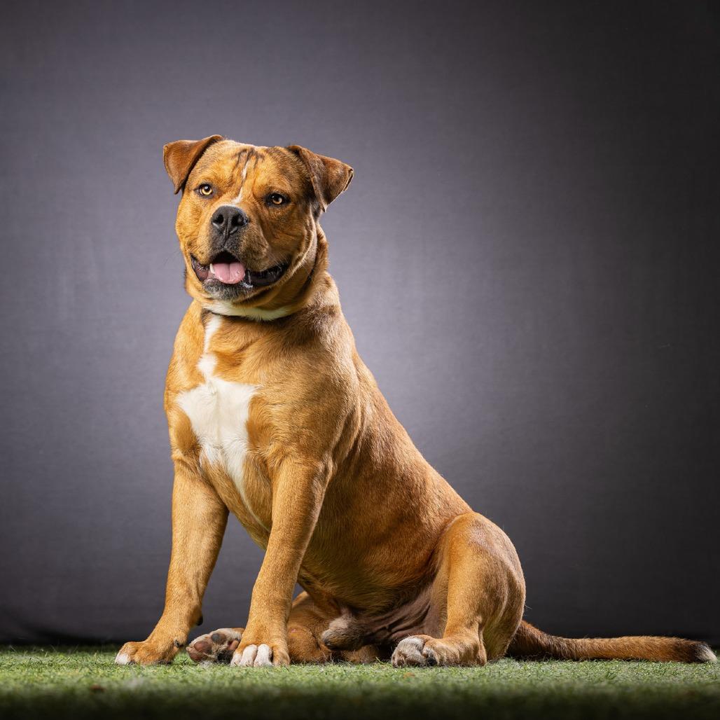 Warren — thumbnail 4