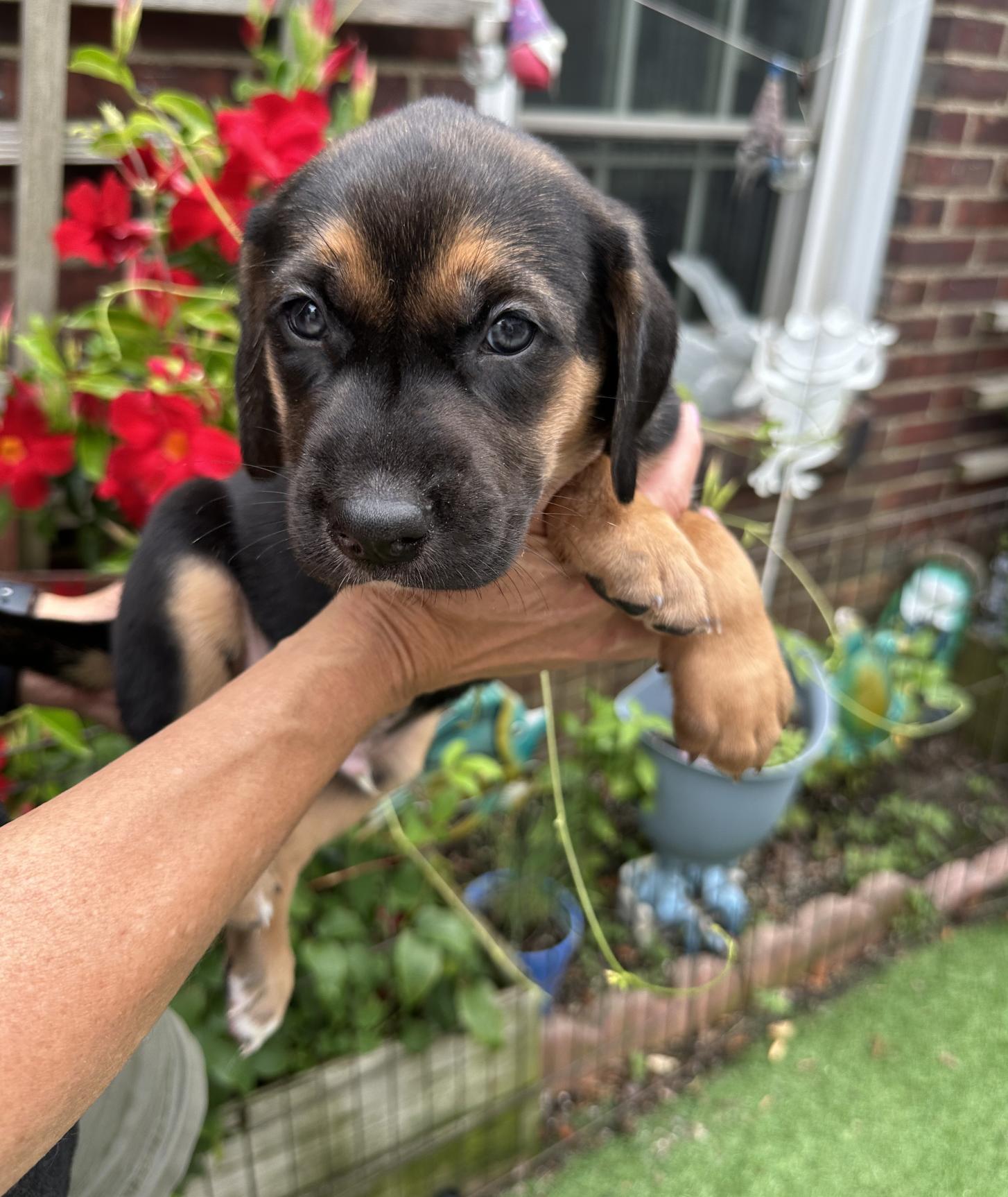 Diego
