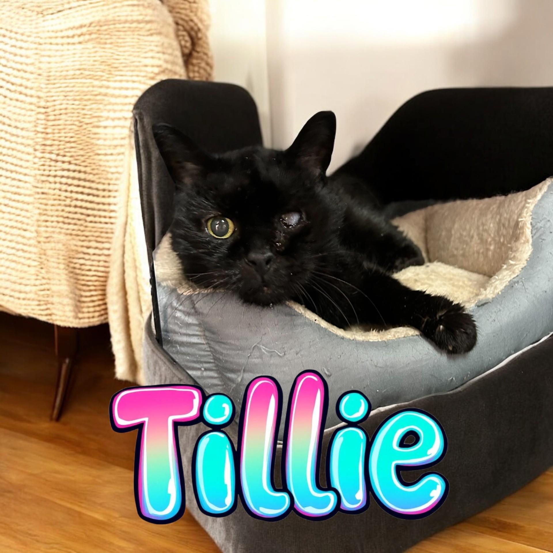 Tillie