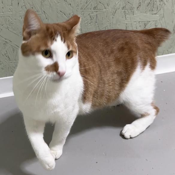 Bobbie — thumbnail 5