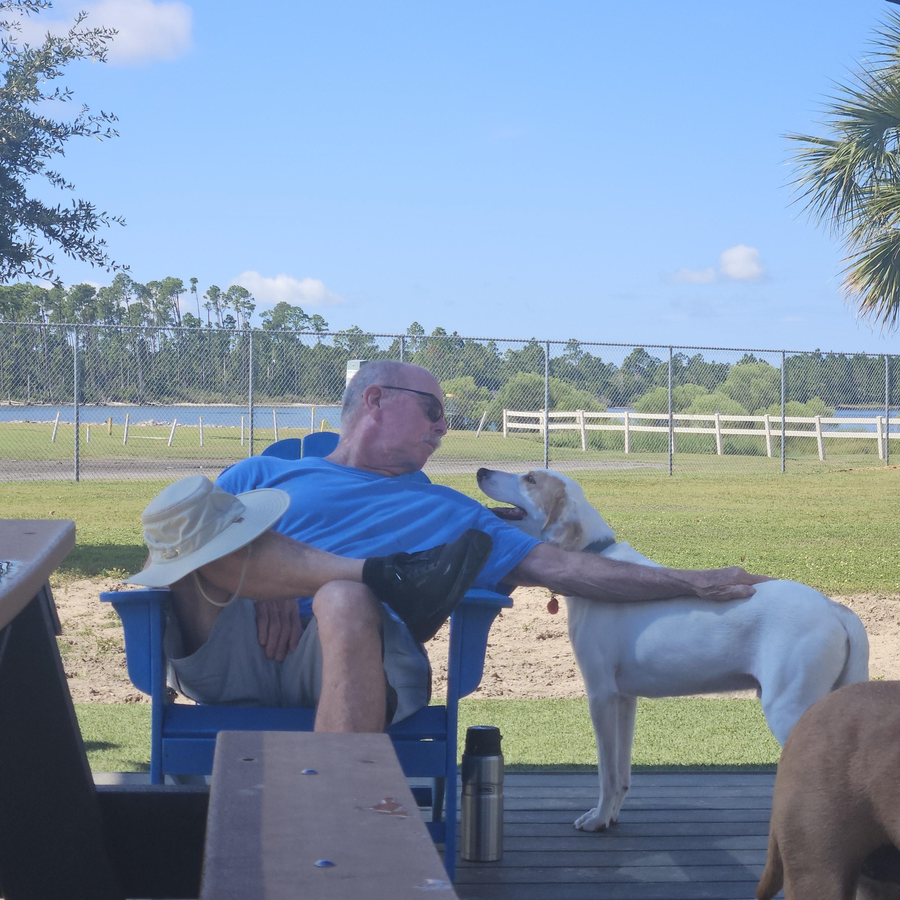 Ranger, a Adoptable Treeing Walker Coonhound in Panama City, FL image 5/5