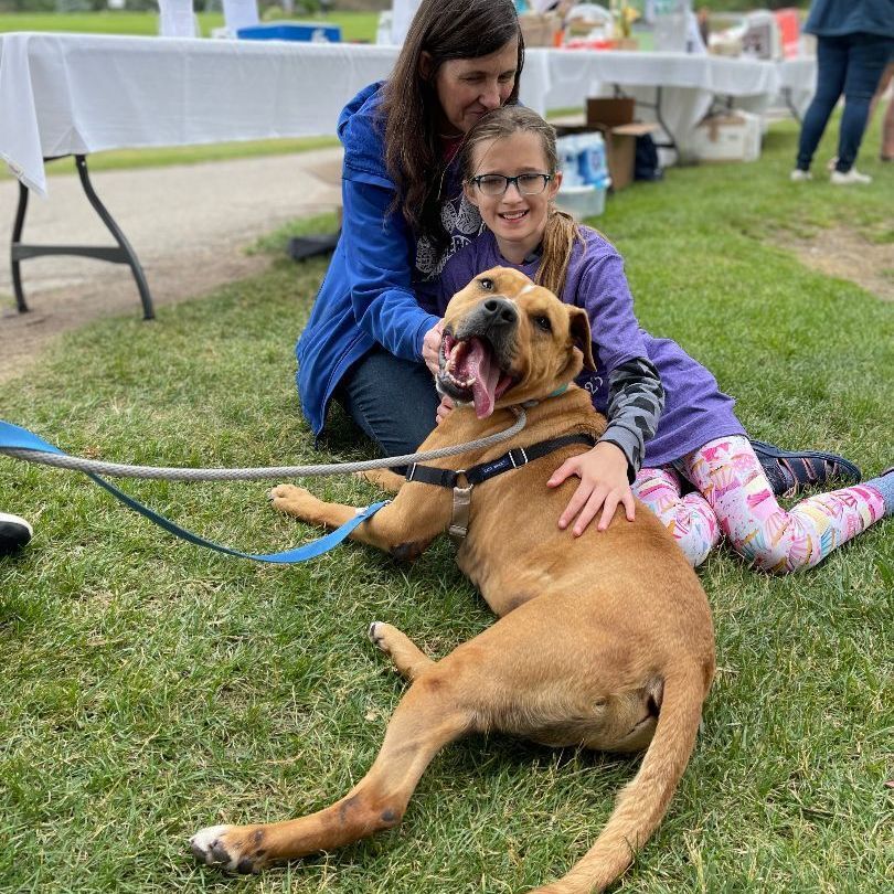 Thor — thumbnail 5