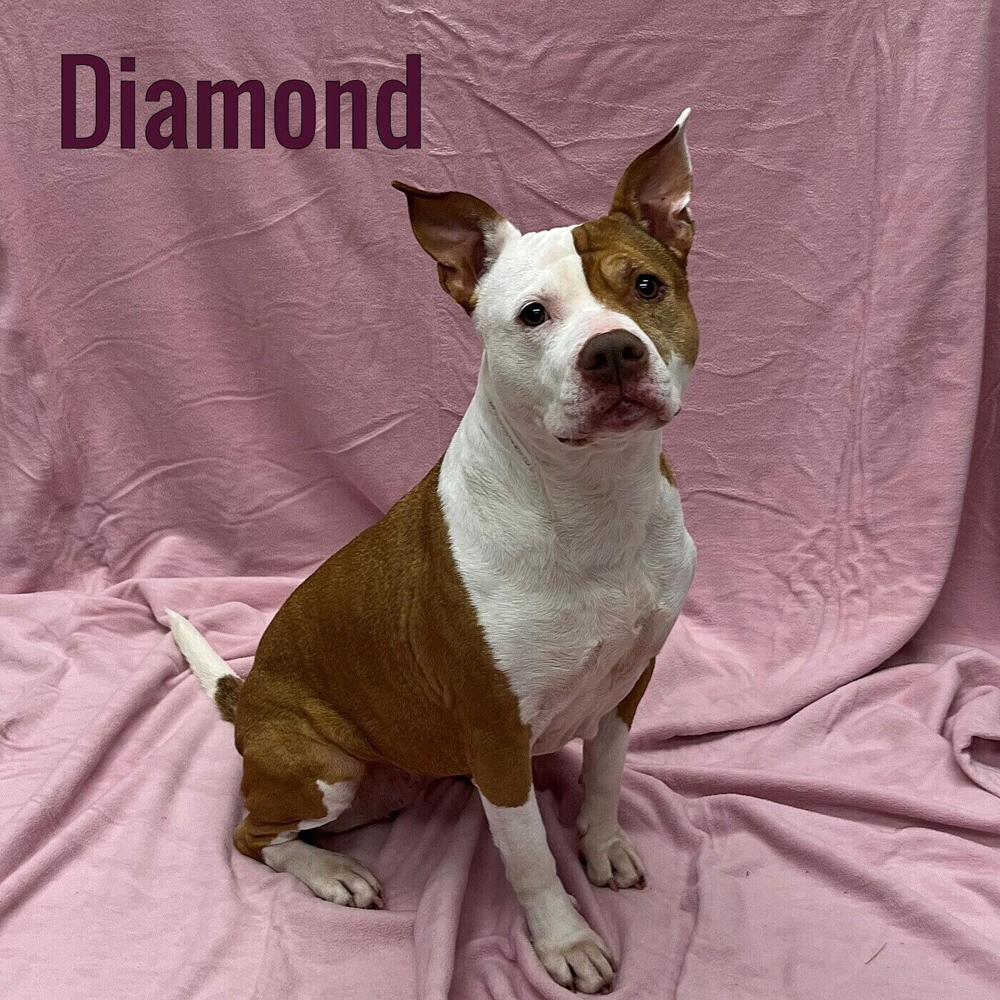 Diamond