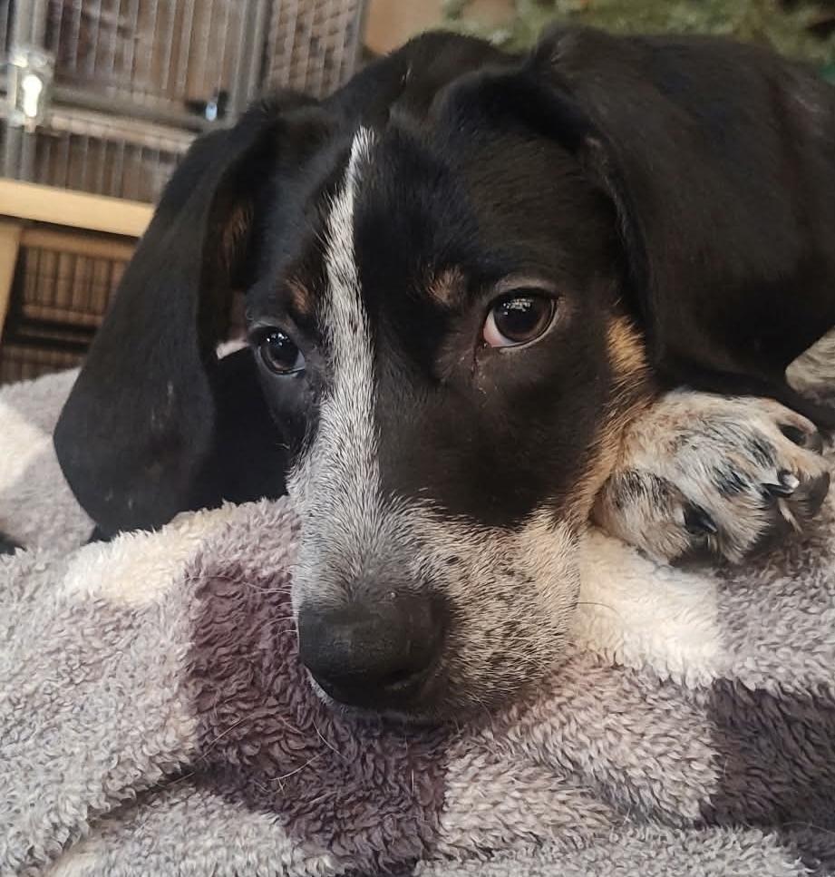 Jess — thumbnail 2