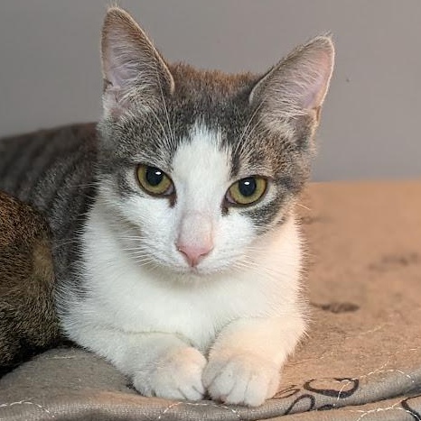 Dorothy Ann aka "Dot"