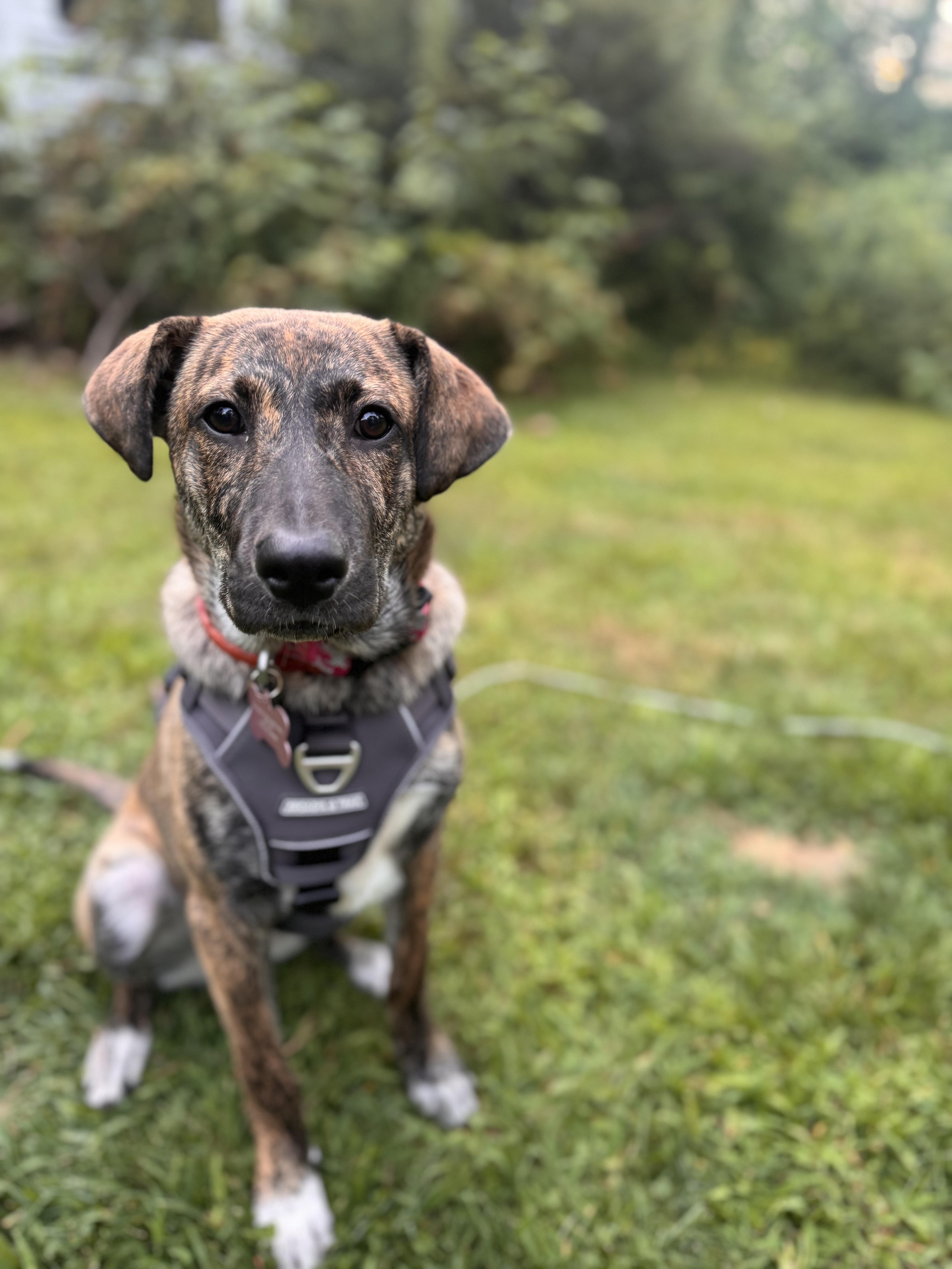Bria- Come Meet!