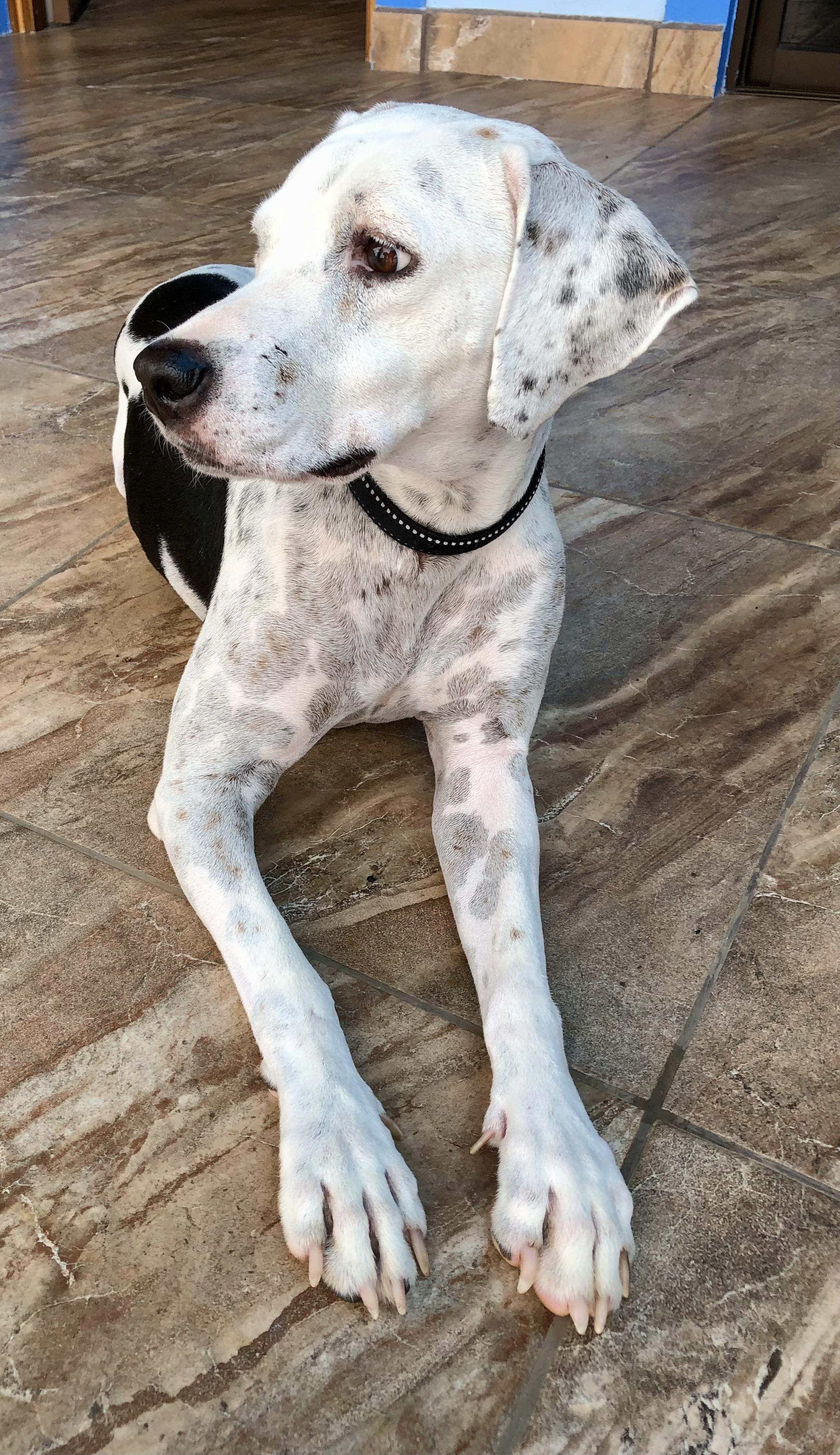 Beto and Pantera — thumbnail 4