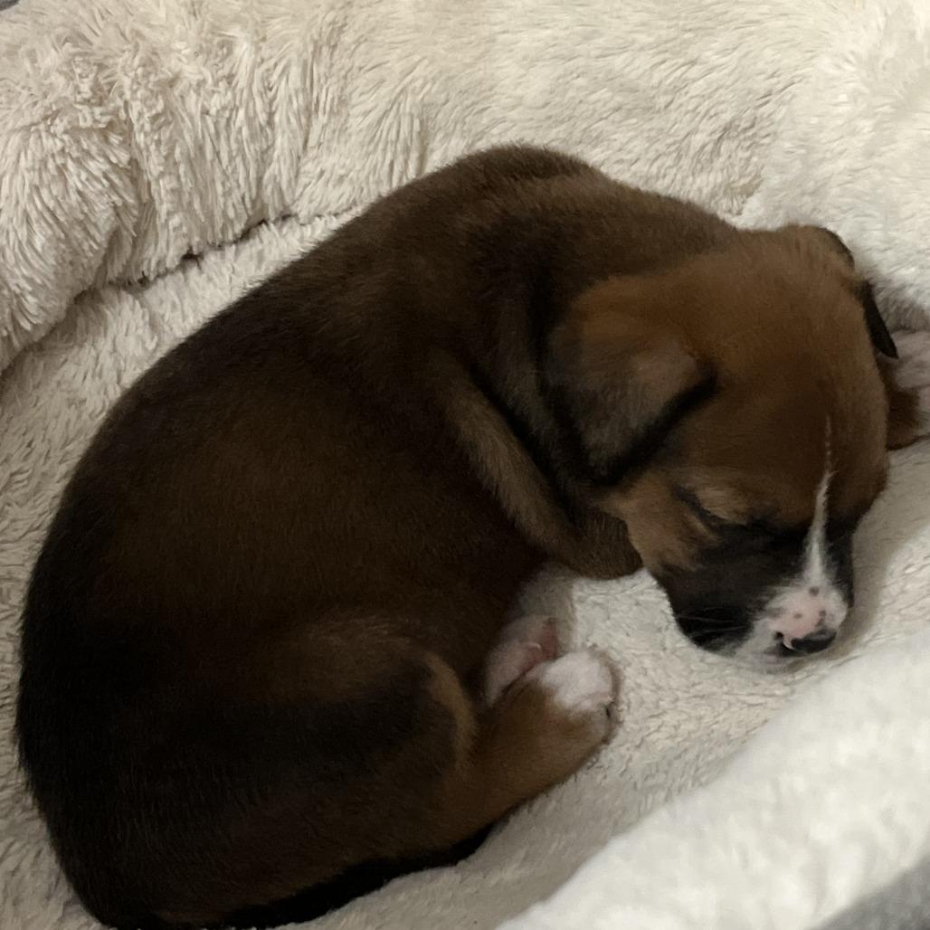 Molly Ray — thumbnail 2