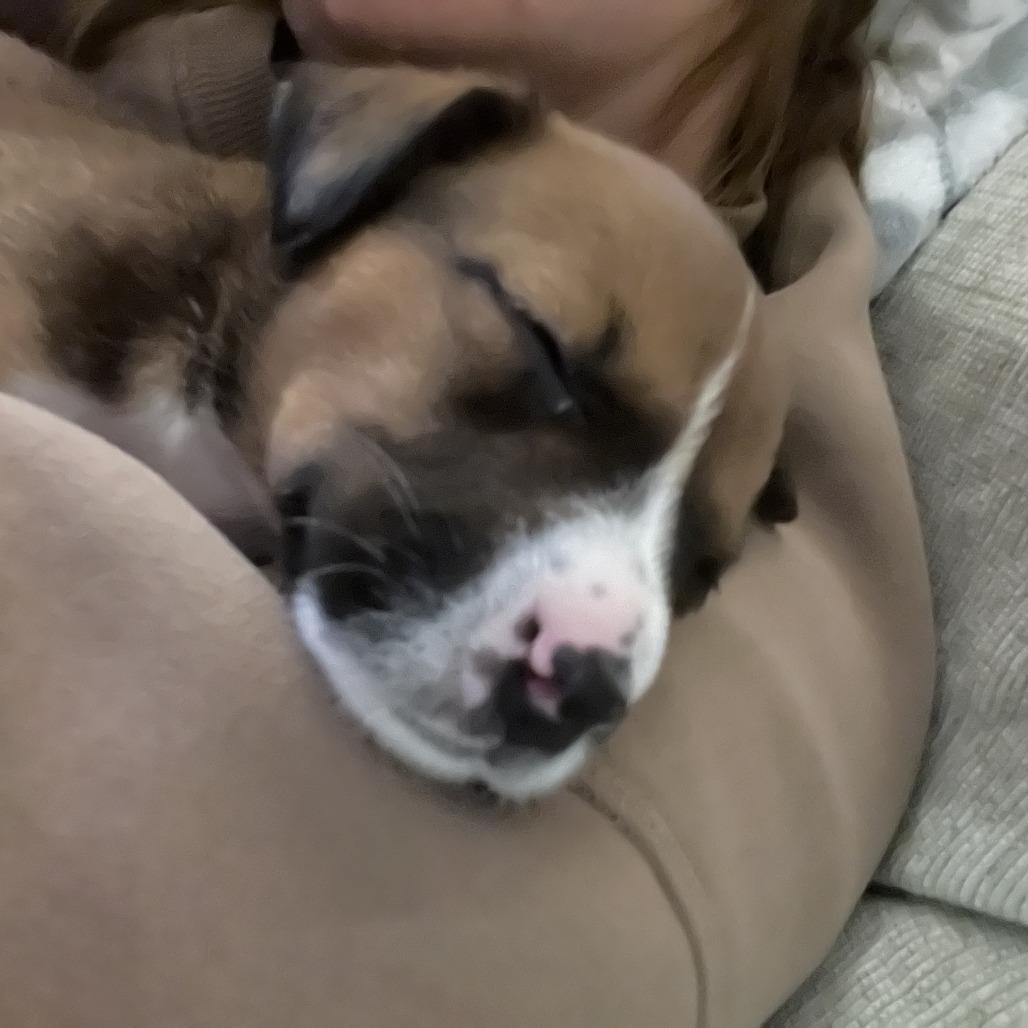 Molly Ray — thumbnail 3