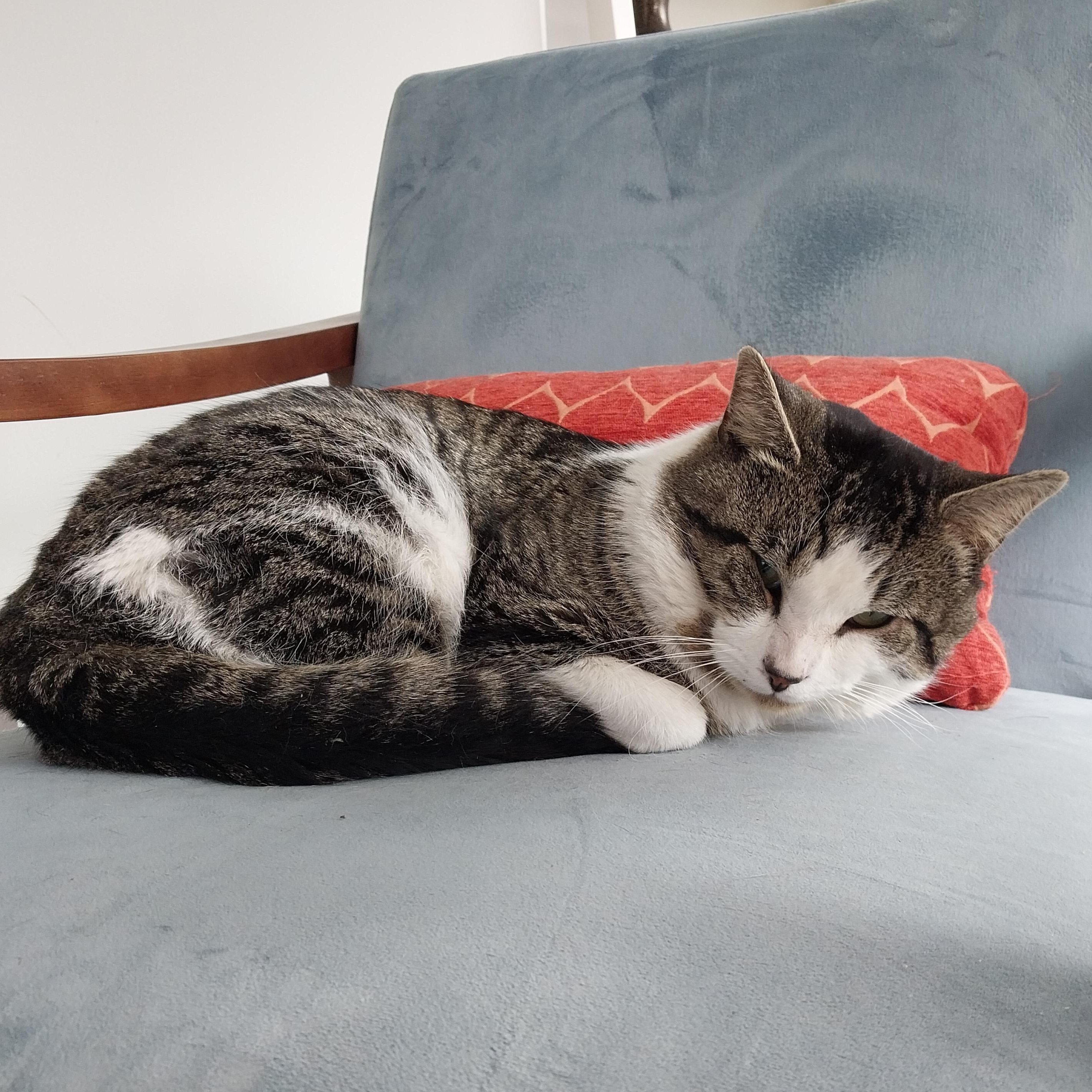Winston photo 4