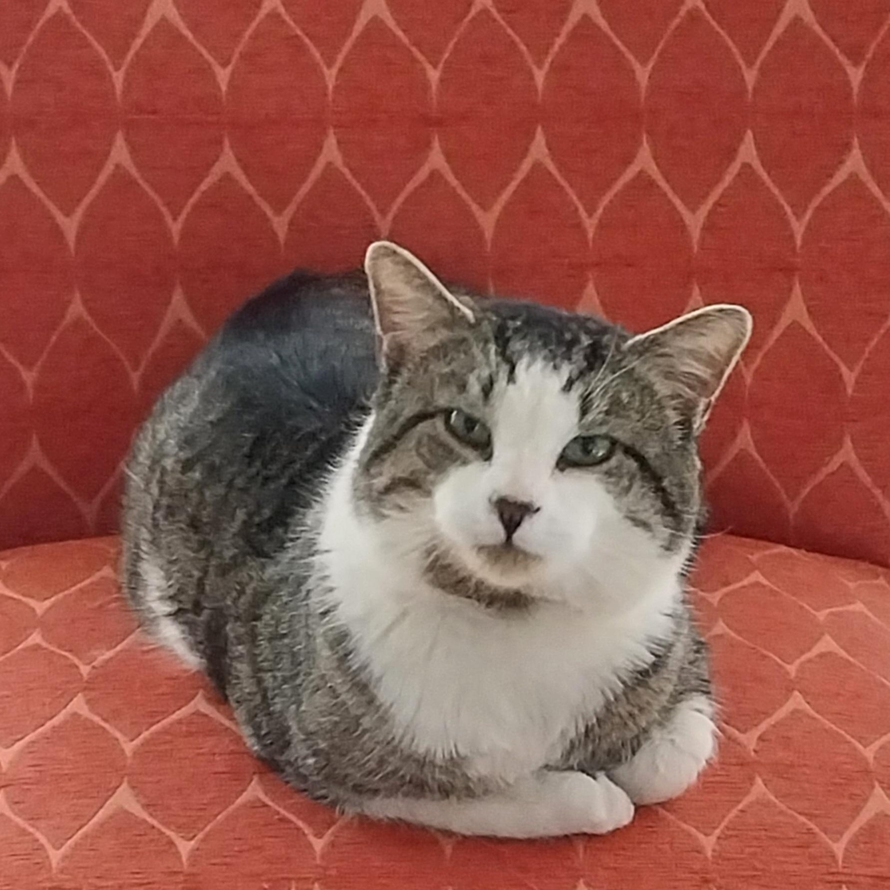 Winston