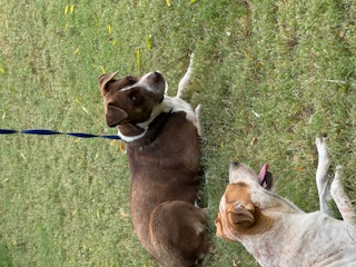 DELLA photo 3