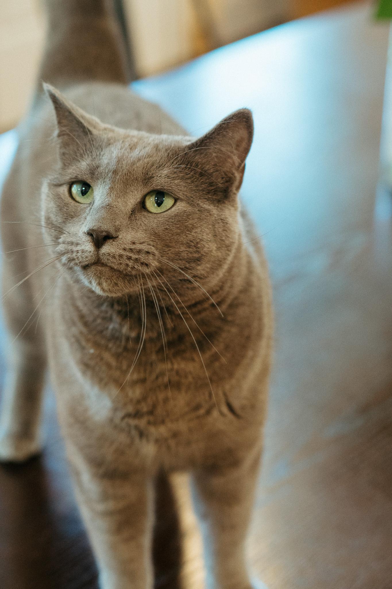 Peggy photo 2