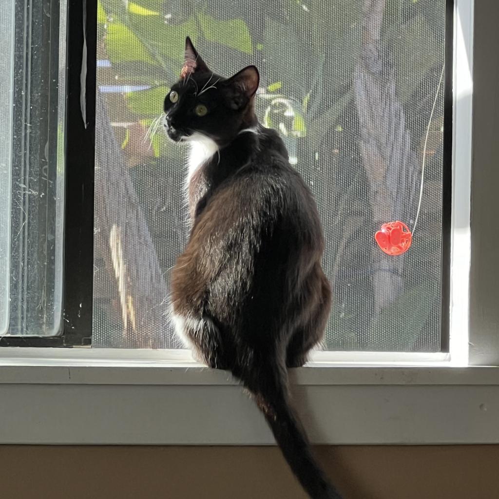 Couch Potato — thumbnail 3