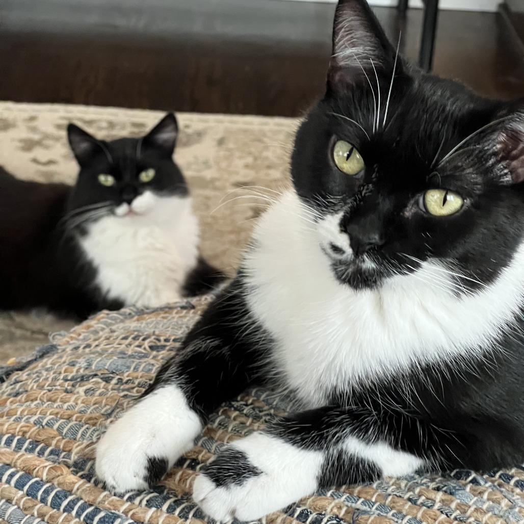 Couch Potato — thumbnail 6