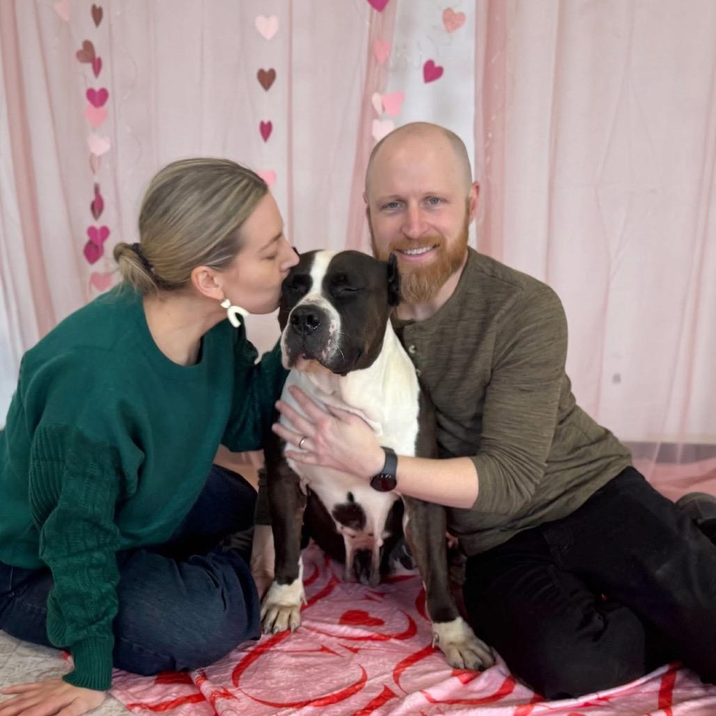 Enlarge Lucy, a Adoptable mixed breed in Chicago, IL image 1/6