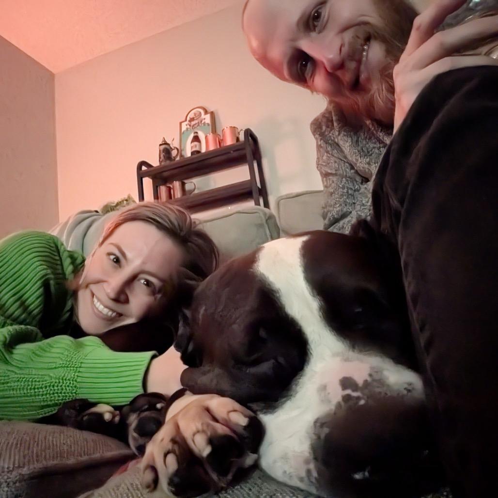 Lucy, Adoptable, Adult Female Cane Corso & Mixed Breed.