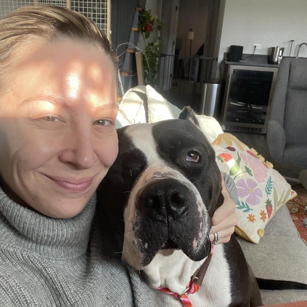 Enlarge Lucy, a Adoptable mixed breed in Chicago, IL image 5/6