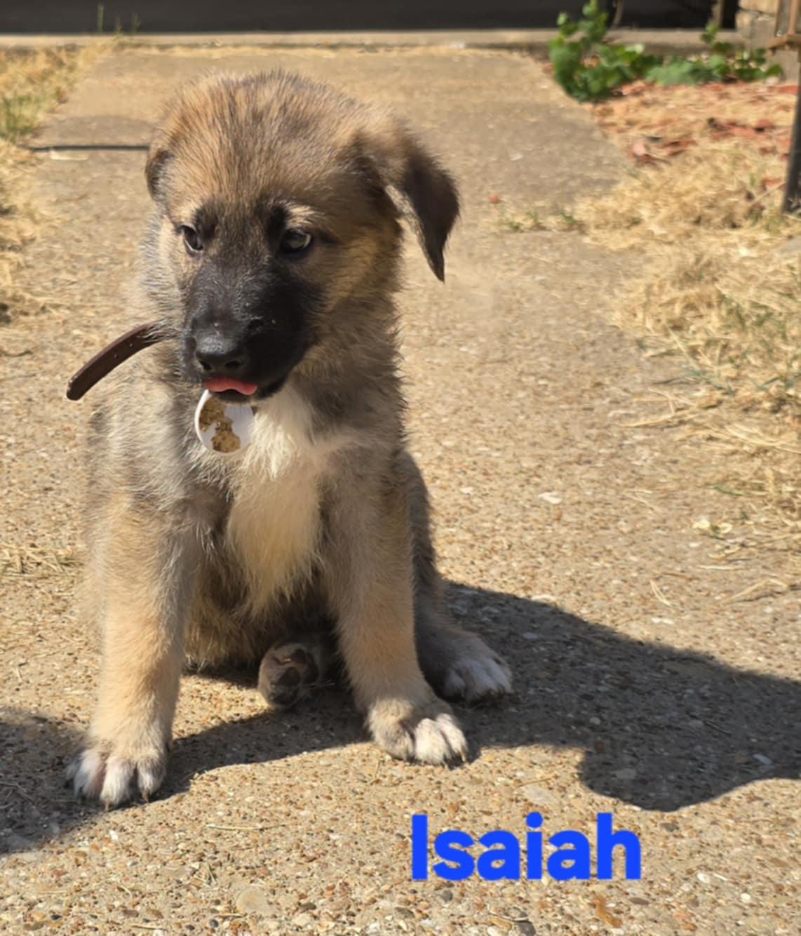 Isaiah