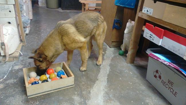 Rocket (20260211-02)