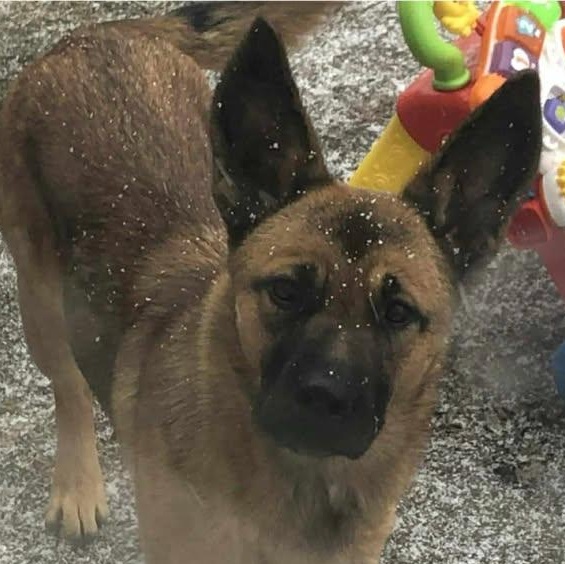 Rocket (20260211-02) — thumbnail 4