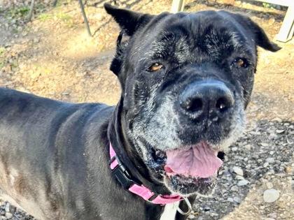 Harlow — thumbnail 2