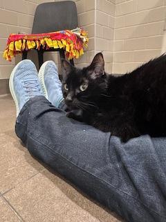 Flower — thumbnail 3