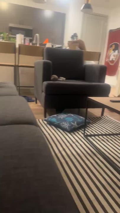 Enlarge Willow, a Adoptable Catahoula Leopard Dog in Tallahassee, FL video 4/4