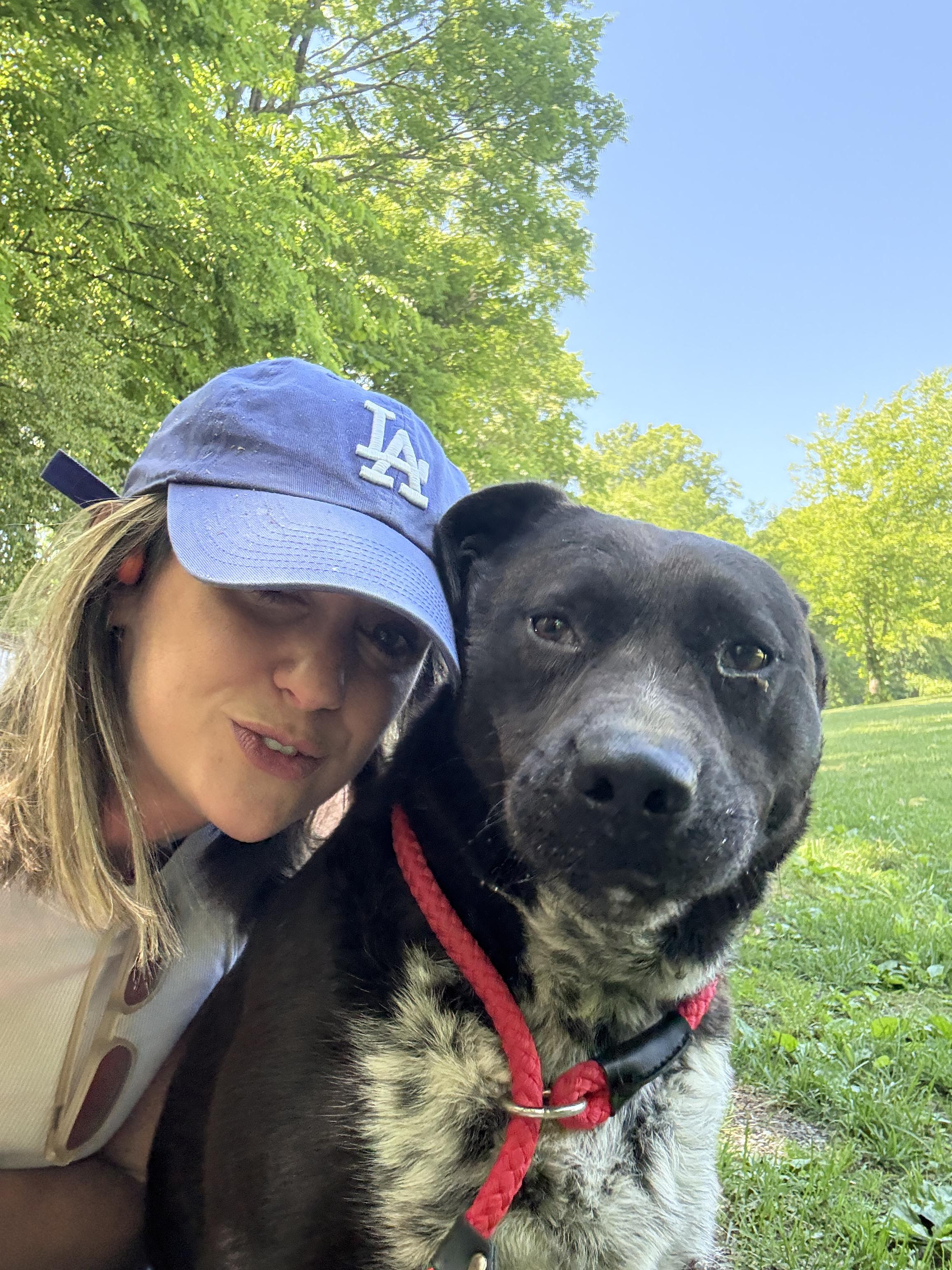 Enlarge Sadie, an adopted mixed breed in Candler, NC image 3/3