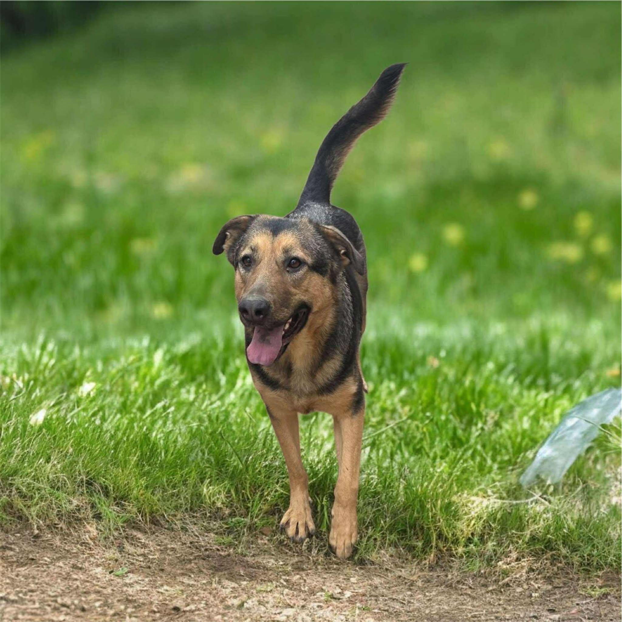 Hunny Bunny (20250826-03)