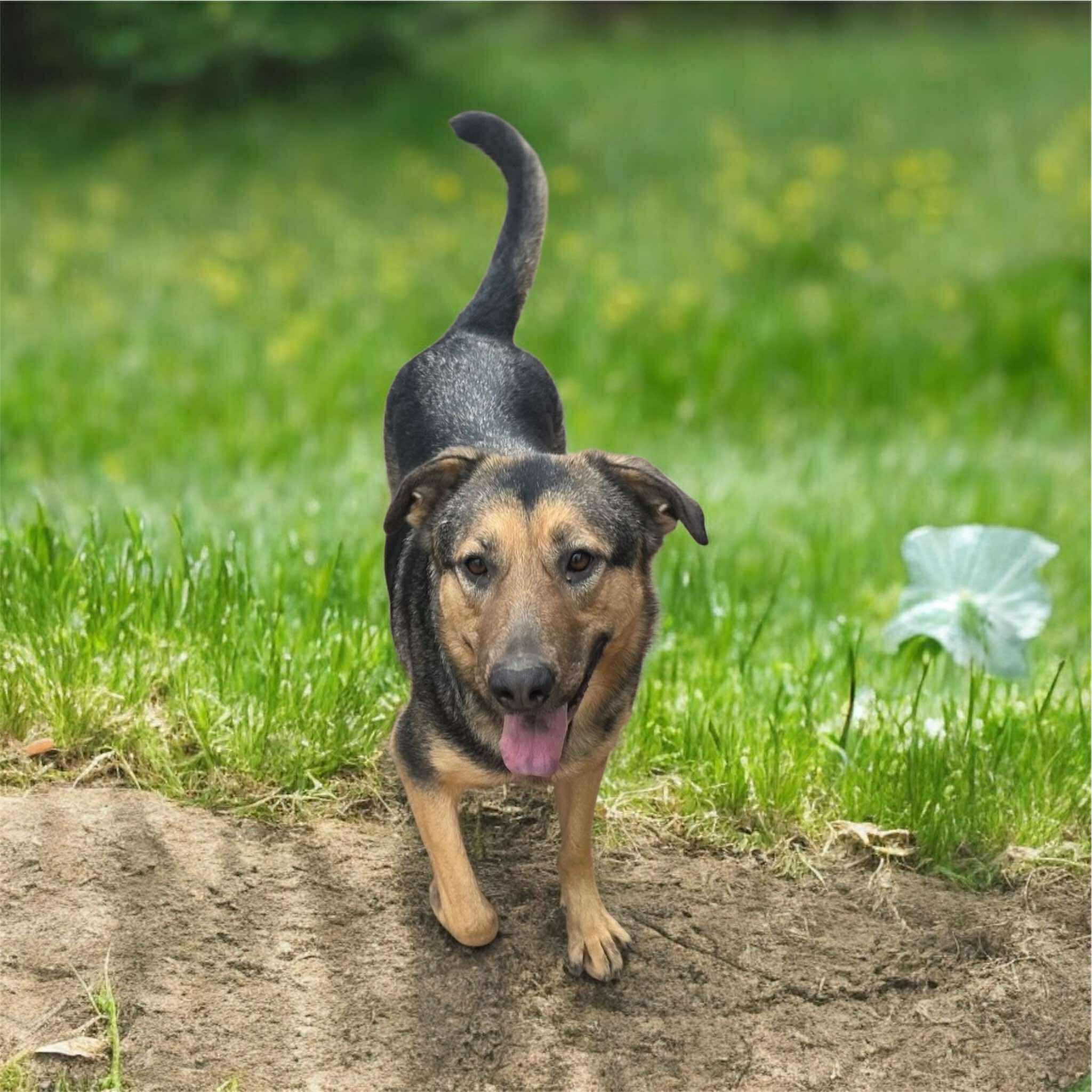 Hunny Bunny (20250826-03) — thumbnail 2