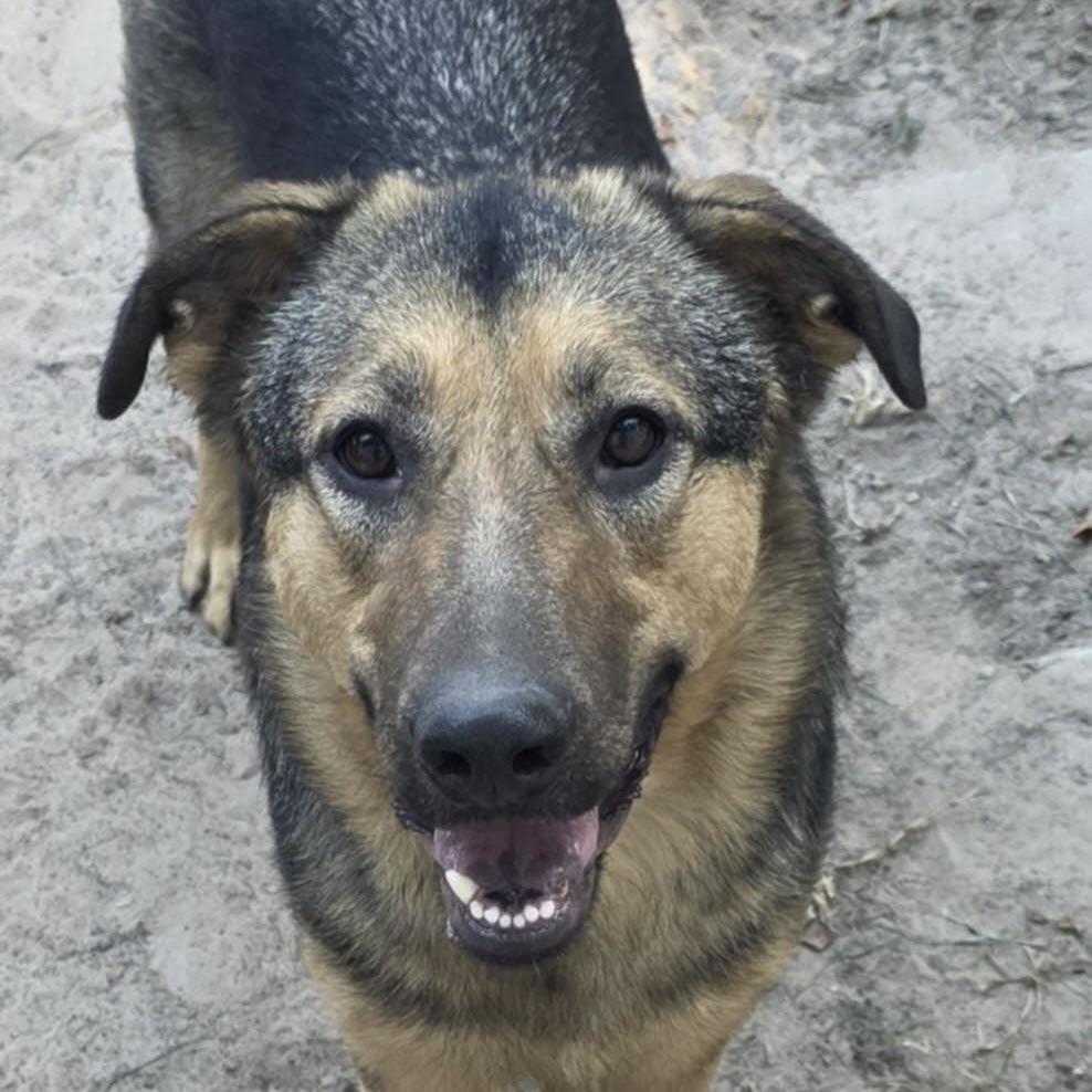 Hunny Bunny (20250826-03) — thumbnail 3