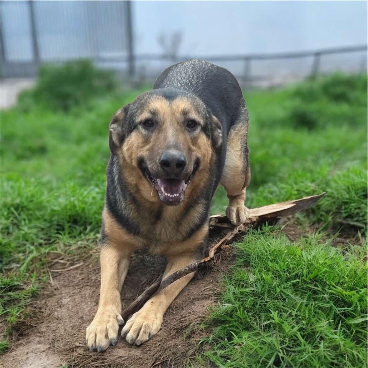 Hunny Bunny (20250826-03) — thumbnail 4