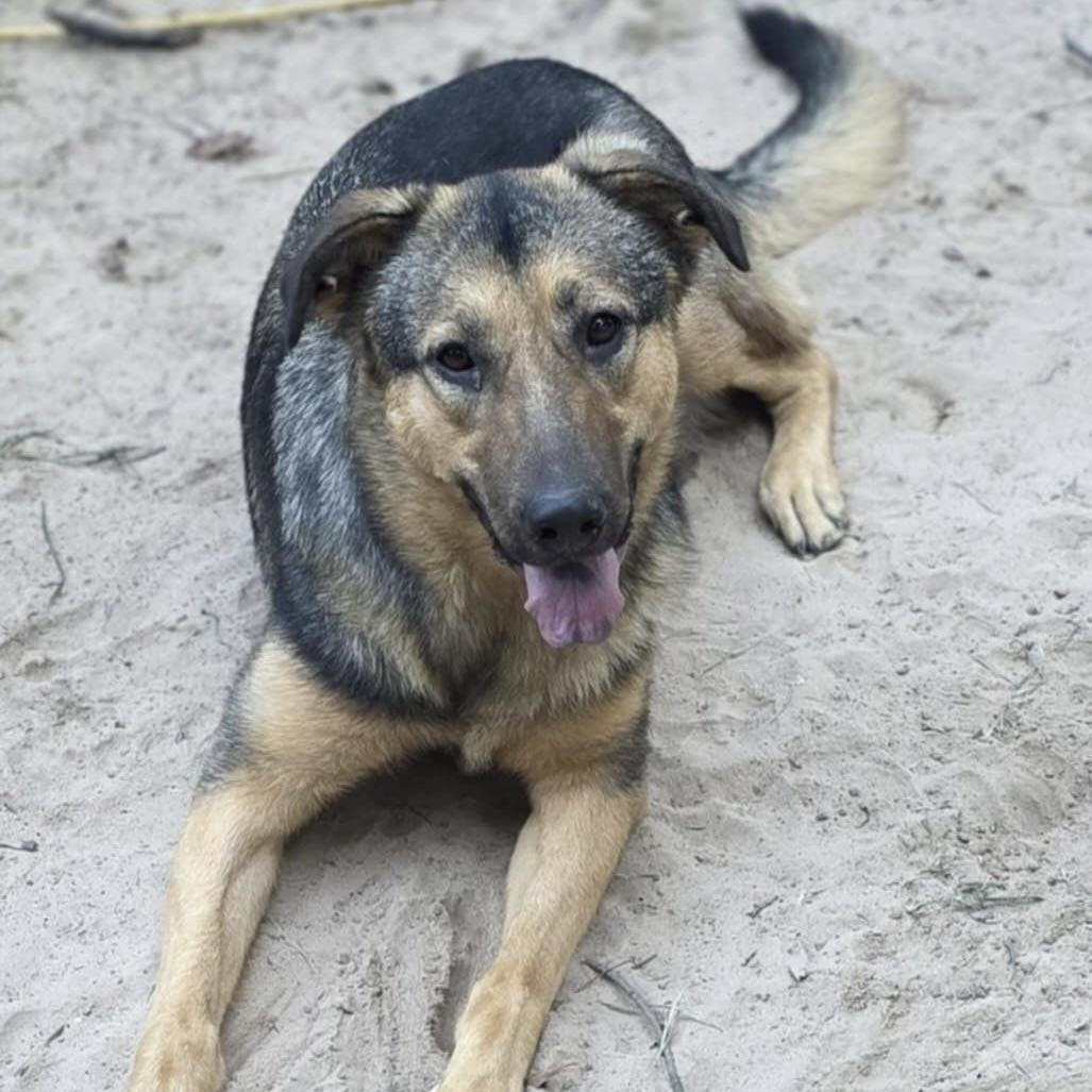 Hunny Bunny (20250826-03) — thumbnail 5