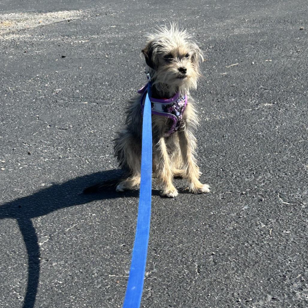 Janelle — thumbnail 2