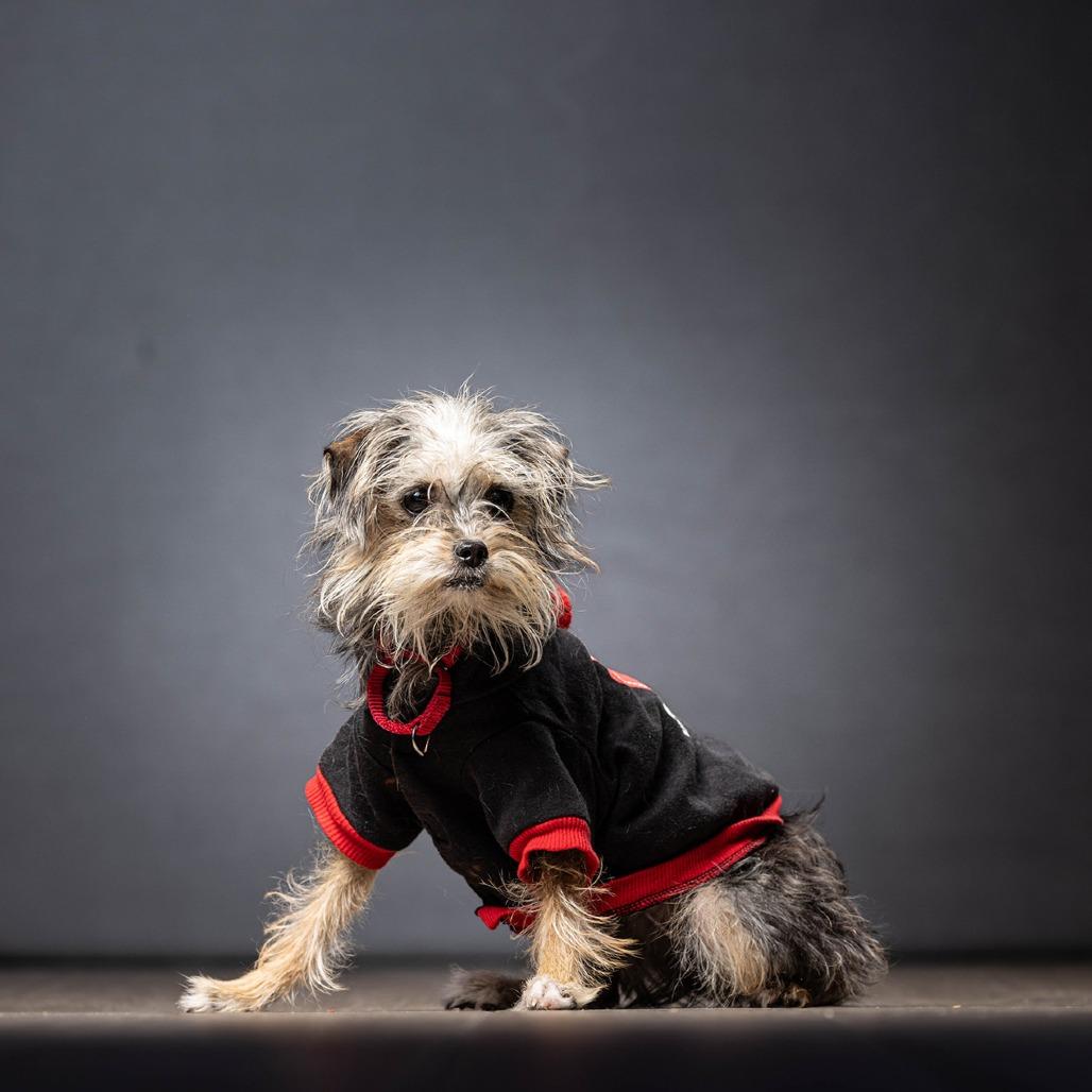 Janelle — thumbnail 3