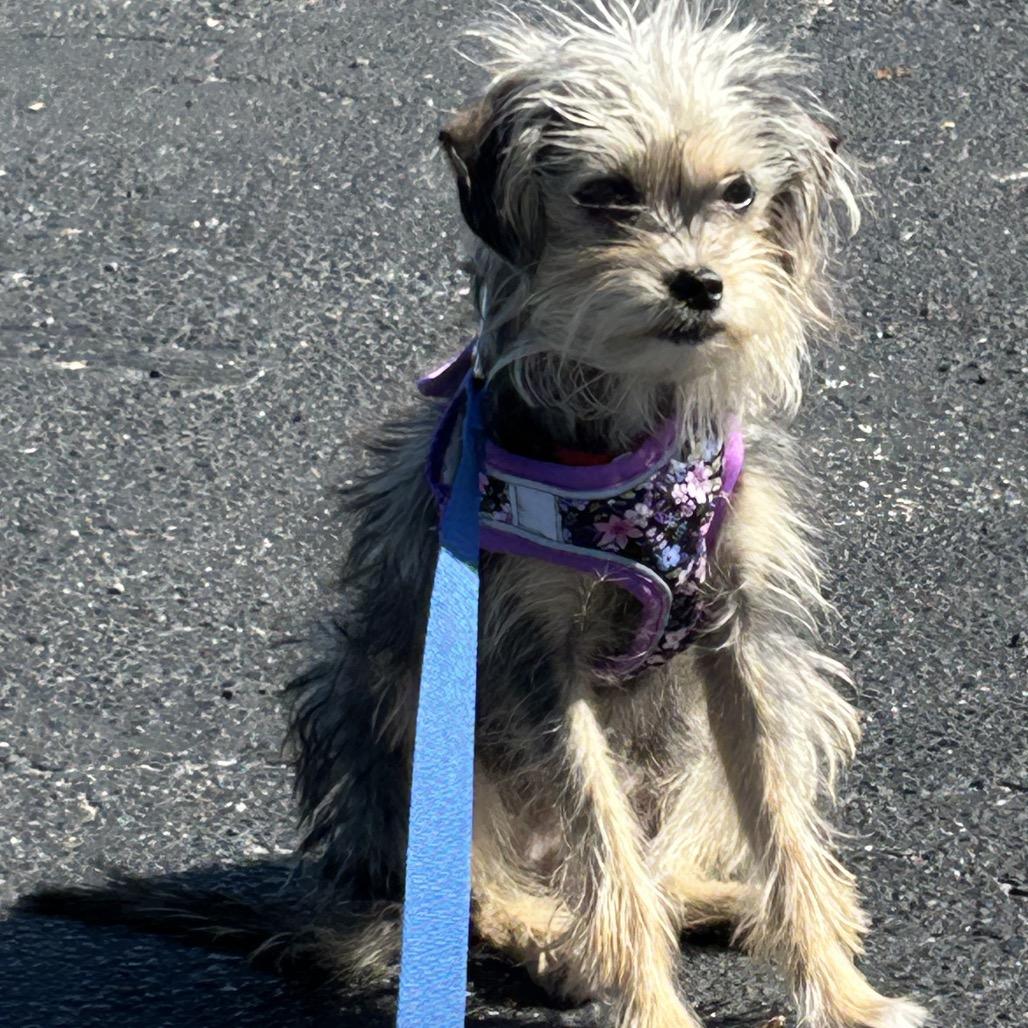 Janelle — thumbnail 4