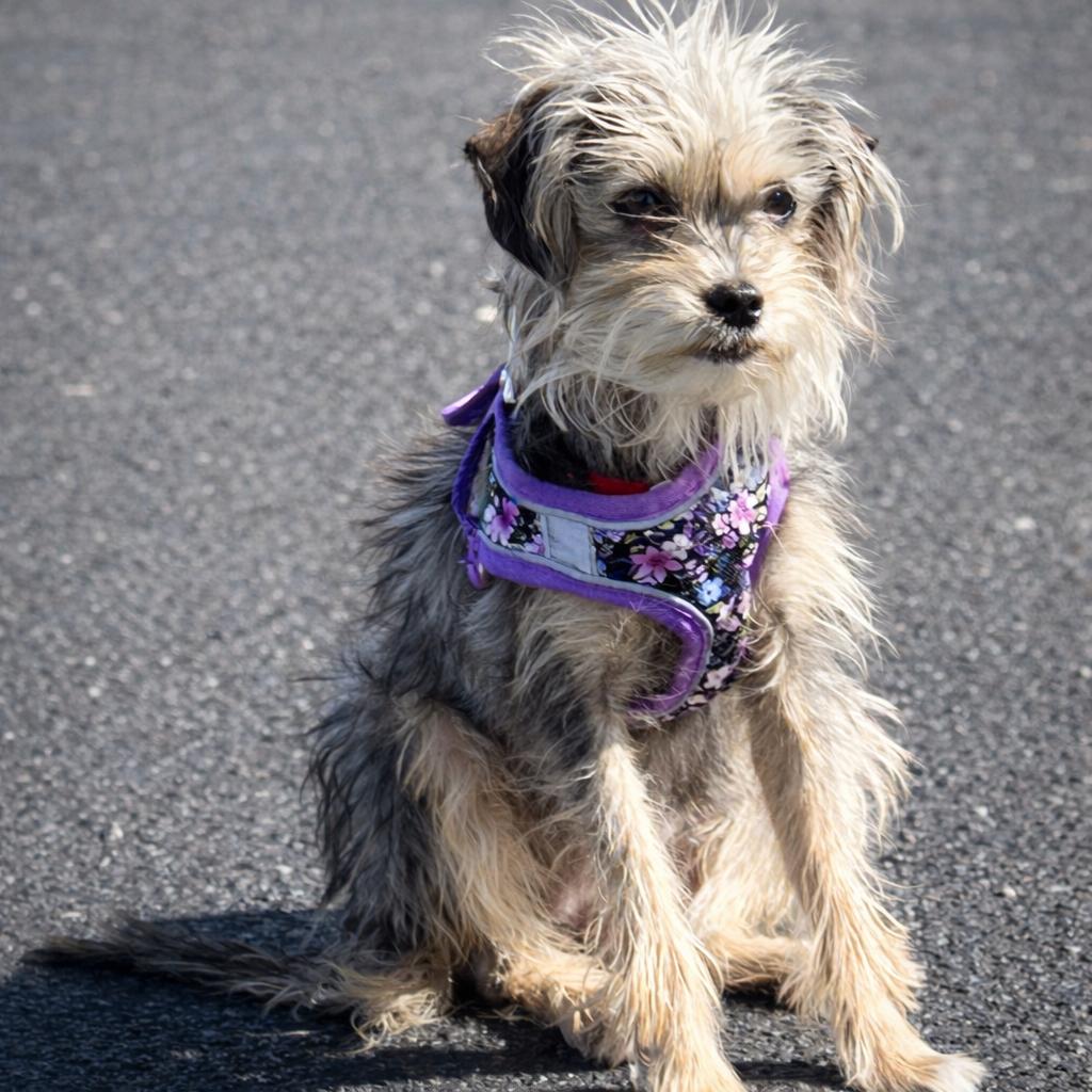 Janelle — thumbnail 5