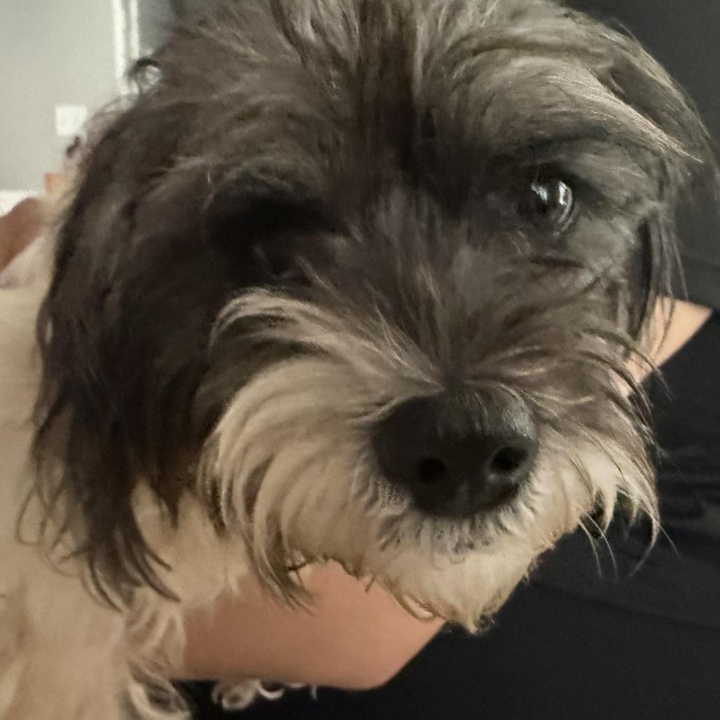 Winnie Sue thumbnail 4