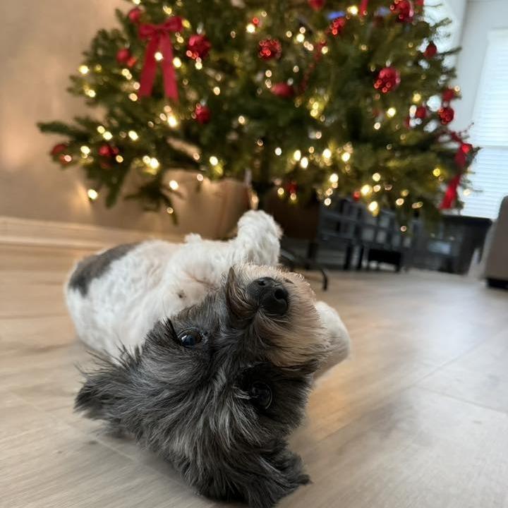 Winnie Sue thumbnail 6