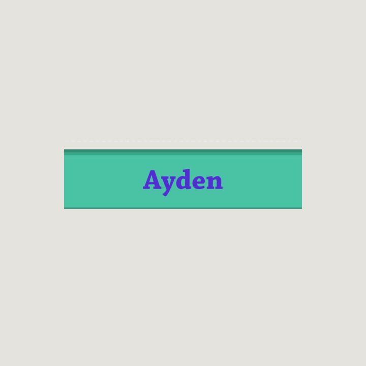 Ayden, an adoptable Silver Fox Mix in Clinton, NJ_image-1