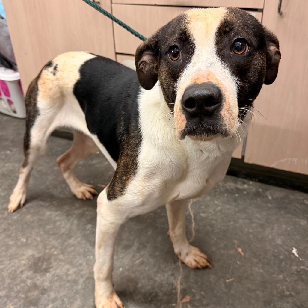 Riley — thumbnail 3