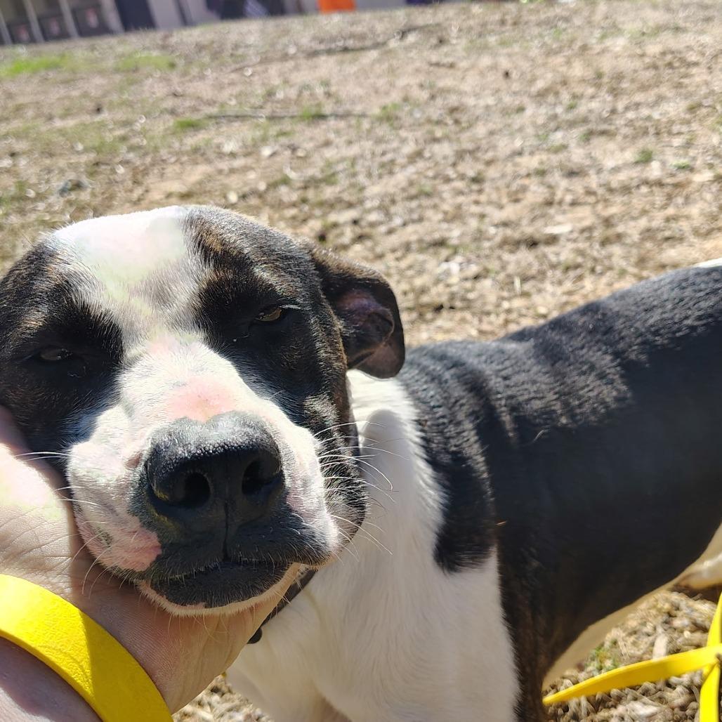 Riley — thumbnail 4